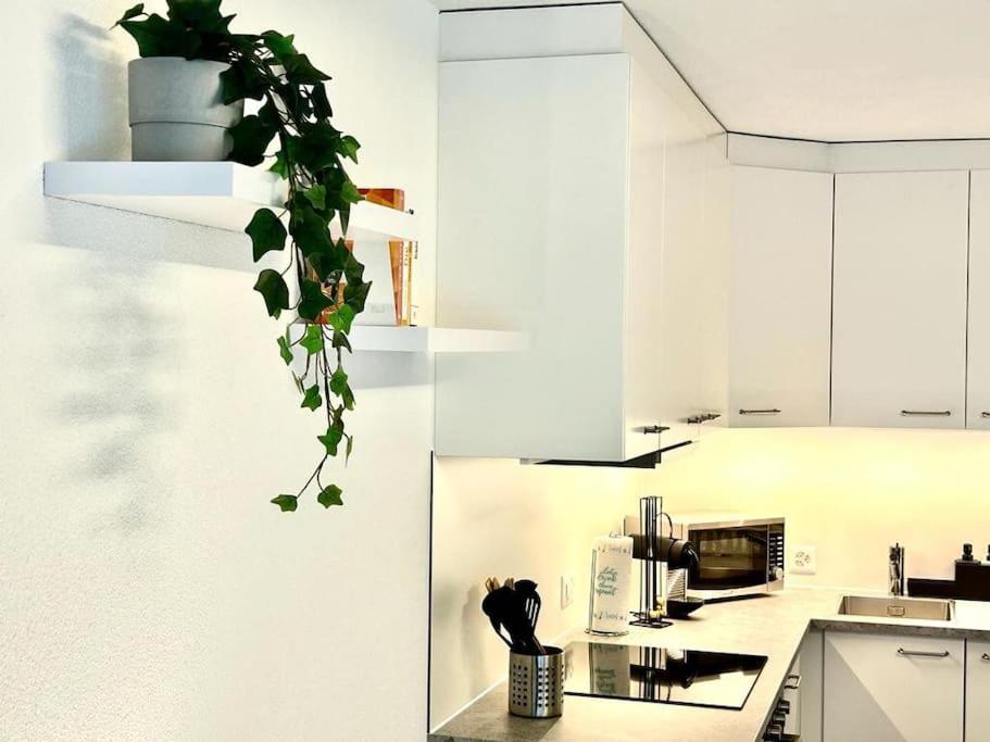 Ferienwohnung Casa Ambizione Dietikon Exterior foto
